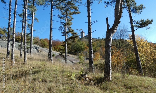 Blick zur Wachsenburg