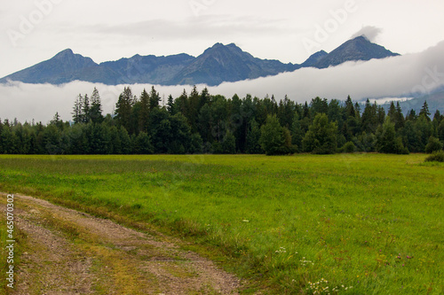 Obraz na plátne Landscape of the High Tatras mountain range in the early morning with a fog clou