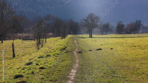 Landscape with orchard meadows and wet green fields at the Mosella river dam near Trier Pfalzel, Germany in Winter photo