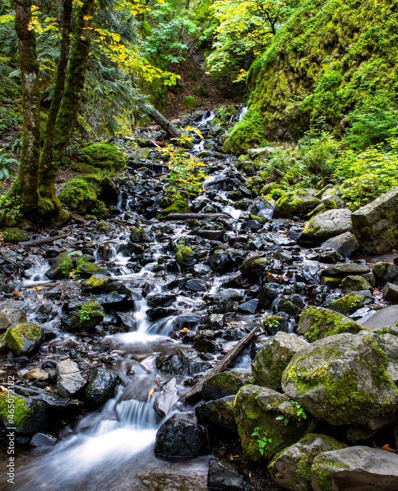 Fototapeta premium Starvation Creek Falls in the Columbia Gorge, Oregon, Taken in Autumn