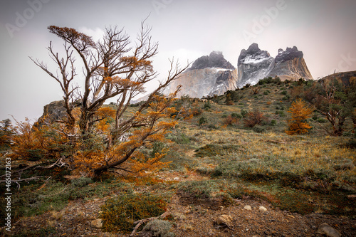 Autumn at Parque Nacional Torres del Paine, Chilean Patagonia