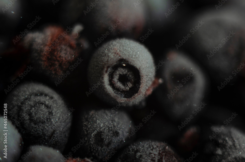 Blueberry background texture nature. Top view blue Blueberry background texture nature. Top view blue