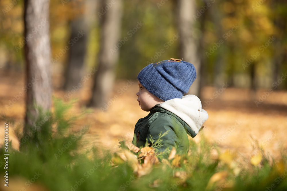 boy in autumn leaves boy in autumn leaves