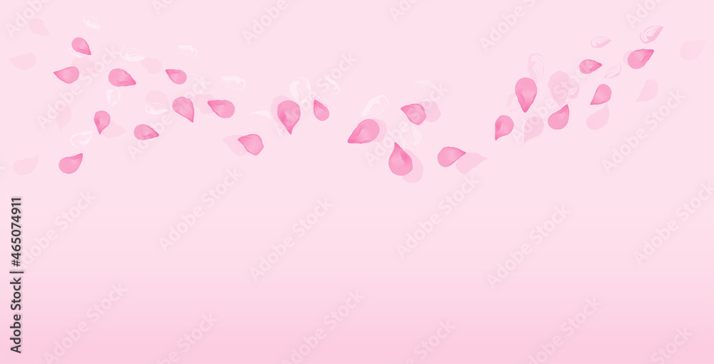 Pink flying petals isolated on Pink gradient background. Sakura Roses petals. Vector