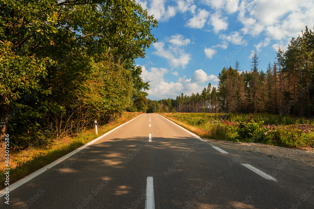 Fototapeta premium The asphalt road leads through the forest. In the background is a blue sky with white clouds.