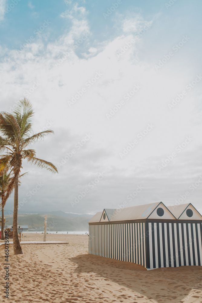 Obraz premium beach with palms