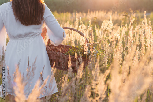 Fotografie A woman with a basket, collecting herbs in a meadow. Herbalism.