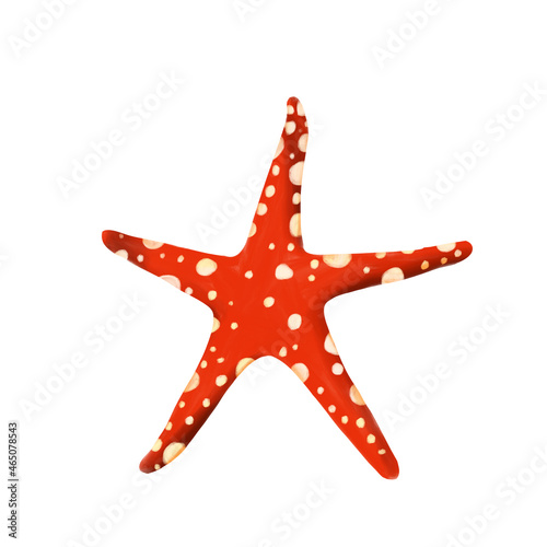 Starfish on an isolated white background. Red star with white pattern. Summer time raster illustration in realism style