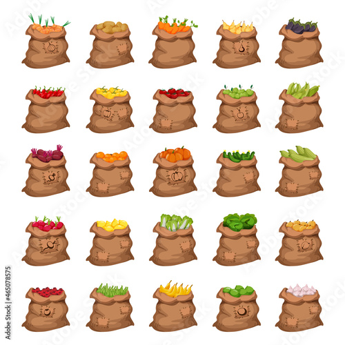 Collection of detailed bags filled with vegetables and fruits.