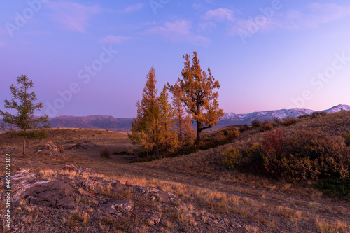 autumn forest in the mountains