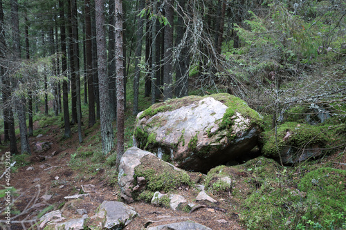Moss-covered stone at foot of Mount Hiidenvuori