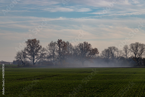 smoke over the green field from country house yard, trees in distance, cloudy blue sky