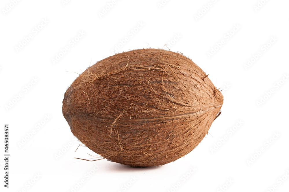 Brown coconut isolated on white background, close-up Brown coconut isolated on white background, close-up