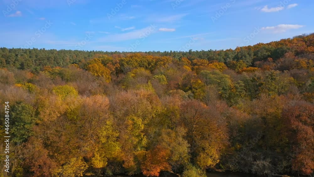 Autumn forest from above. Beautiful woodland in fall season. Flight over the road among colorful yellow treetops and river. Bright texture in nature. Aerial view Autumn forest from above. Beautiful woodland in fall season. Flight over the road among colorful yellow treetops and river. Bright texture in nature. Aerial view