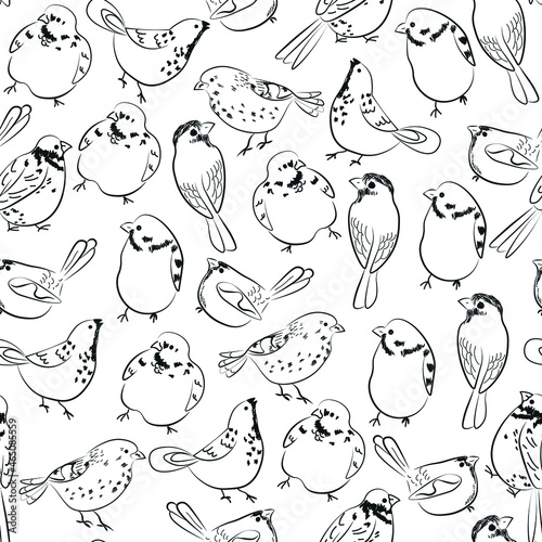 Fototapeta Naklejka Na Ścianę i Meble -  Sparrow, Bullfinch, set of hand drawn birds. Concept for wallpaper, texture, cards