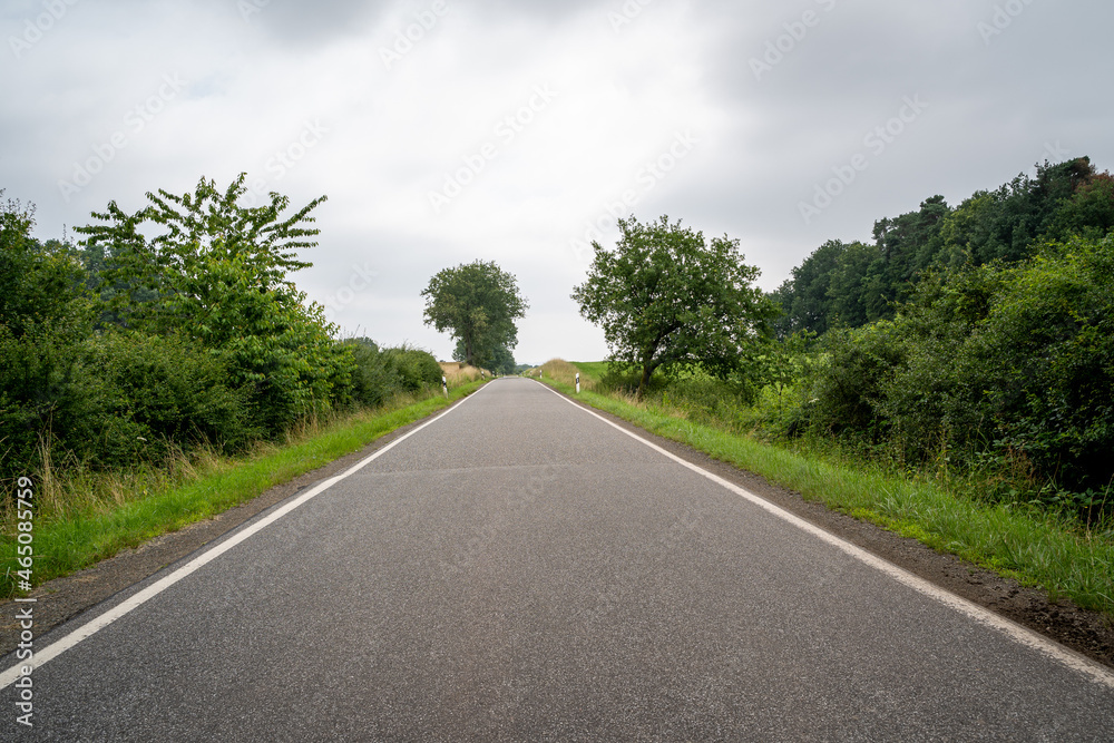 Country road between trees and bushes with cloudy sky Country road between trees and bushes with cloudy sky