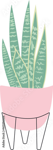 Plantas de interior vectores