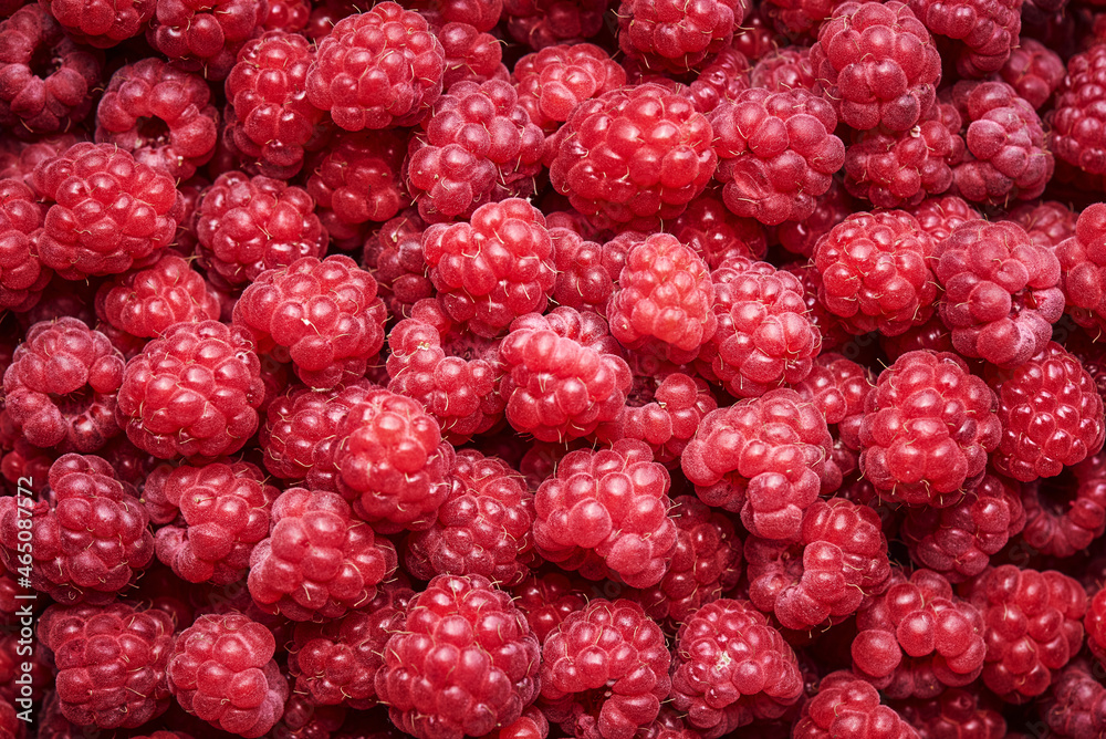 Background of ripe red raspberries. Close up, top view. Harvest Concept. Background of ripe red raspberries. Close up, top view. Harvest Concept.