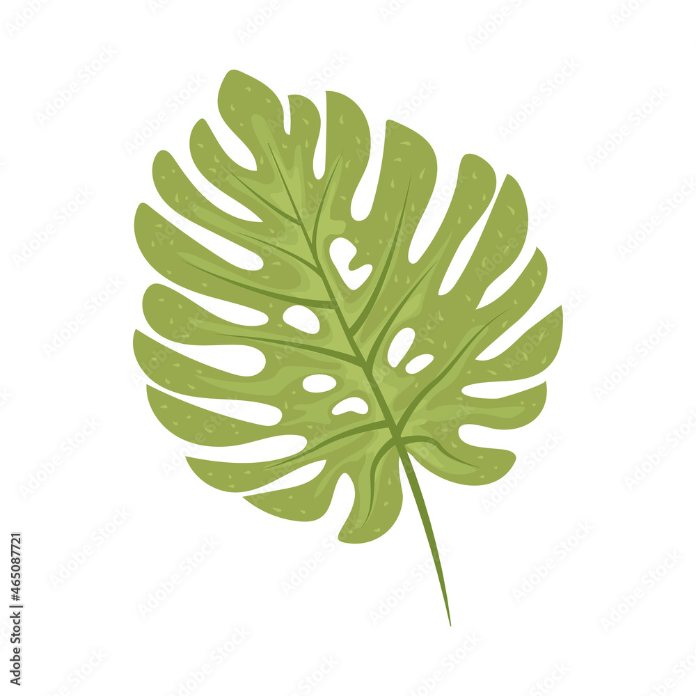 tropical exotic leaf tropical exotic leaf