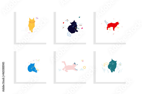 cats different poses, flat isolation  vector illustration 