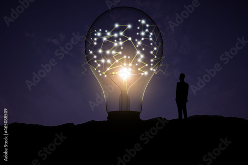 Fototapeta Naklejka Na Ścianę i Meble -  Back view of backlit businessman looking at creative glowing lamp with polygonal connections on night landscape background. Idea and innovation concept.