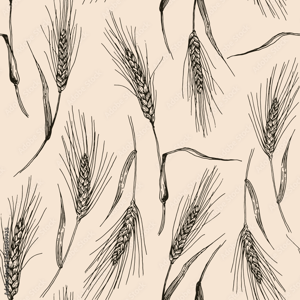 Vector seamless pattern with hand drawn wheat. Perfect for design in vintage style.