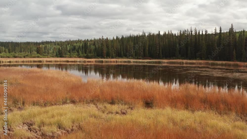 Pollywog Marshes. Very unique perspective of ponds and wetlands in Cariboo Region in British Columbia, Canada Pollywog Marshes. Very unique perspective of ponds and wetlands in Cariboo Region in British Columbia, Canada