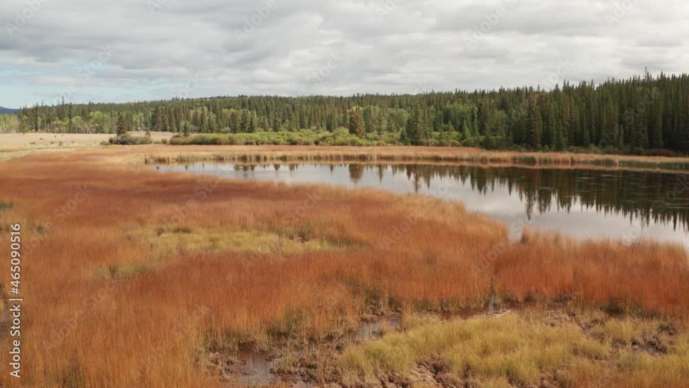 Pollywog Marshes. Very unique perspective of ponds and wetlands in Cariboo Region in British Columbia, Canada