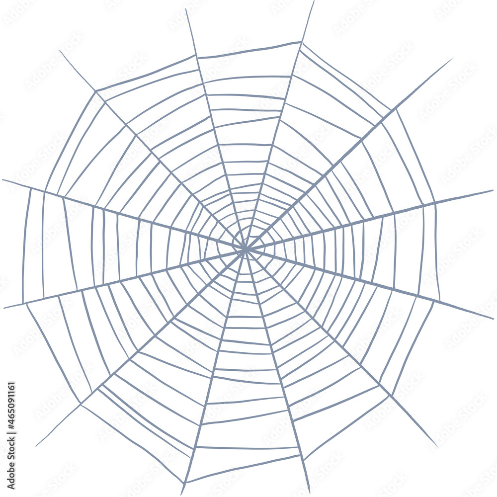 Obraz premium Spider web