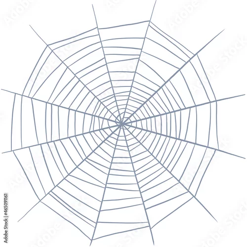 Obraz Spider web