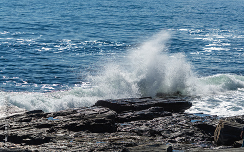 Εκτύπωση καμβά Wave from the Atlantic Ocean crashing on the rocks on the coast of Maine