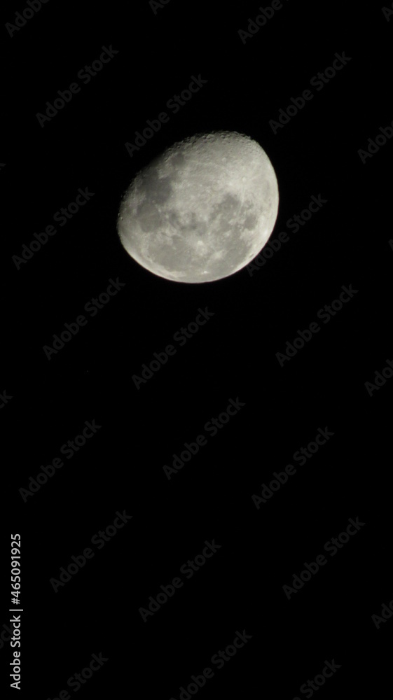 Fototapeta premium moon in the night