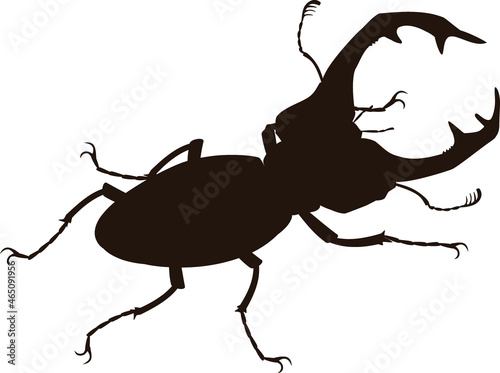 Black silhouette of male European stag beetle (Lucanus cervus) isolated on white background