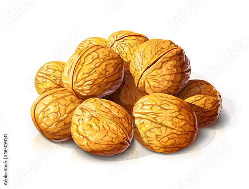 Walnut. Hill of nut. Useful fruit. Isolated on white background. Eps10 vector illustration.
