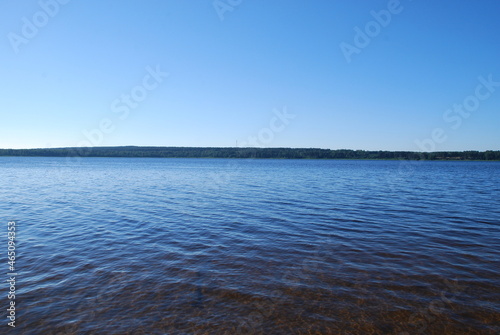 In the forest under the pines. A sunny summer day  a small slope on which trees  large pines and young deciduous trees grow  below the sand is partially overgrown with grass.