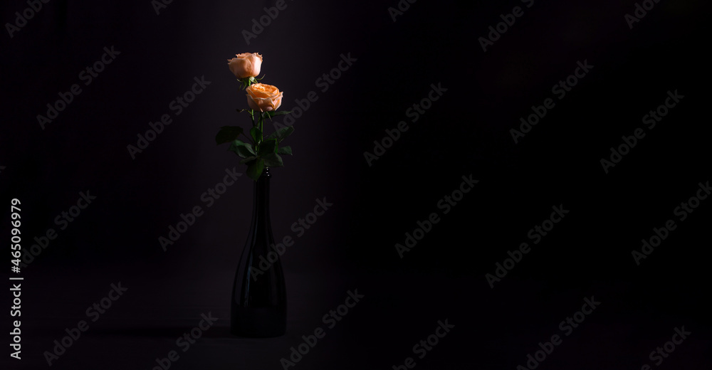 A pair of champagne roses in a bottle on dark background. Minimalist Still life with flowers. A pair of champagne roses in a bottle on dark background. Minimalist Still life with flowers.