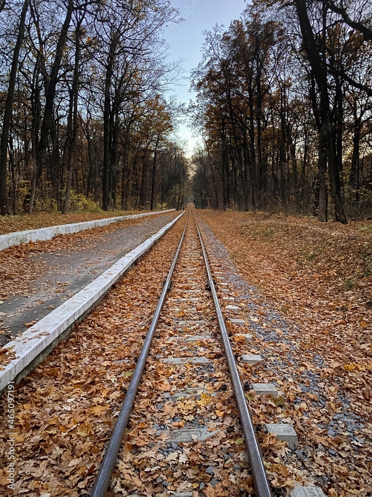 Railway tracks in the autumn forest. Fallen yellow leaves on the ground, deciduous trees around. Natural background. Railway tracks in the autumn forest. Fallen yellow leaves on the ground, deciduous trees around. Natural background.