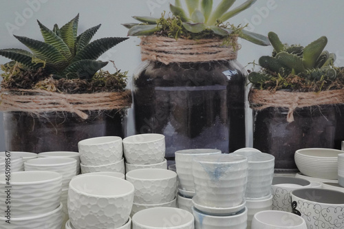 Photo of white empty white plates and jars with earth and green plants