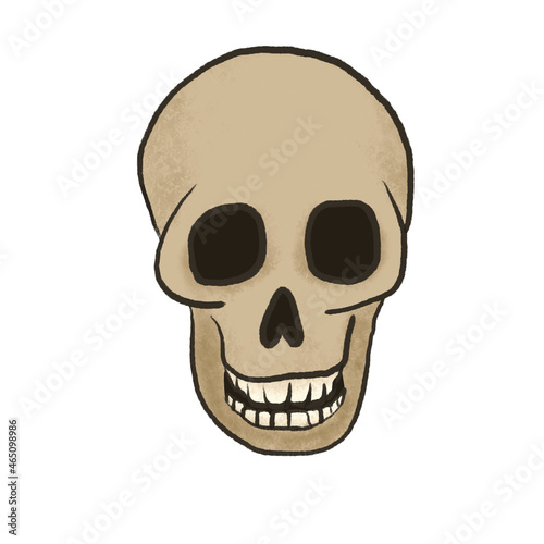 Cartoon human skull (ID: 465098986)