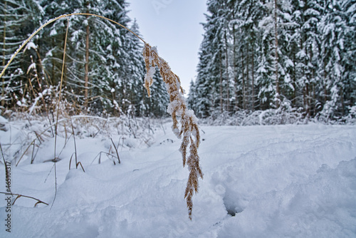 Schnee Winterlandschaft