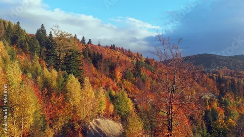Stunning beauty colours of polish autumn in beskid mountains. Bielsko-Biała. Aerial. Slider down