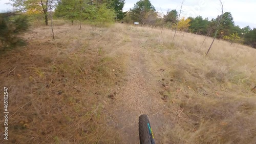 A professional extreme cyclist rides at high speed along a forest autumn technical trail. First-person view. POV.