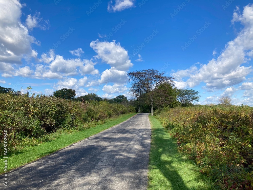 Fototapeta premium path in the countryside