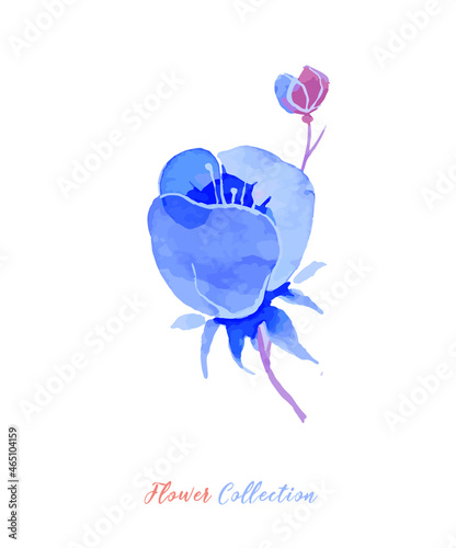 Vector vintage flower on a white background. Purple, pink and blue shades. Flower collection. Buds and twigs. Suitable for vintage postcards, business cards, cover design and T - shirts.
