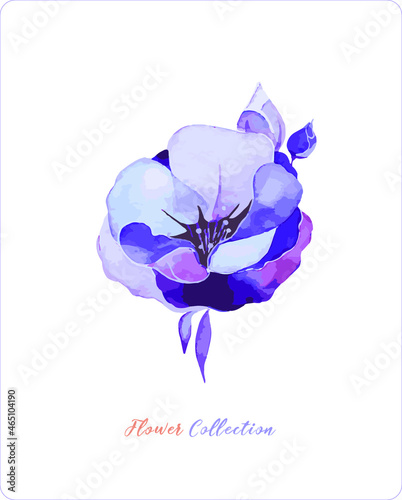 Vector vintage flower on a white background. Purple, pink and blue shades. Flower collection. Buds and twigs. Suitable for vintage postcards, business cards, cover design and T - shirts.