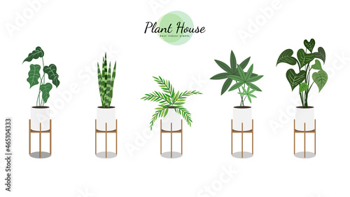 Plant House purify the air in the house on white pots in the house., isolated on white  background,  Vector Illustration EPS 10