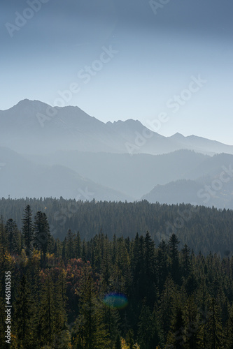 Polana Głodówka w jesień z widokiem na tatry © Jakub