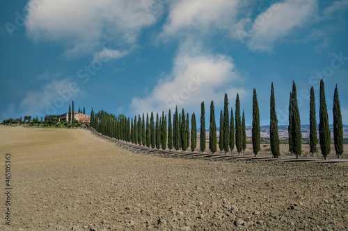 road to the sky - San Quirico d'Orcia, Siena, Tuscany