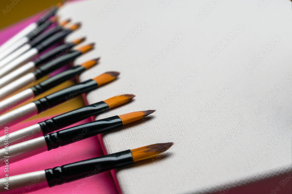 The artist's clean brushes lie in a row on a white blank canvas. The artist's clean brushes lie in a row on a white blank canvas.