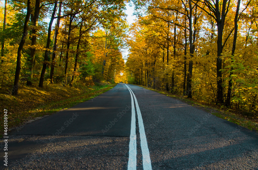 Fototapeta premium Droga do jesieni